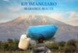 ‘’Un’altra notte ancora’’, il libro di Domenico Cornacchia che racconta il Kilimangiaro e il viaggio di un’anima