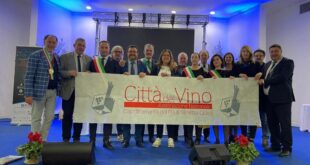 racconti intorno al vino